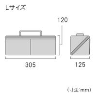 ヒッポケース Lサイズ アイスグレー FTC2-LIG フジ矢（直送品）
