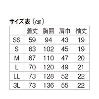 ディーフェイズ スクラブ DS2001 1枚　スクラブ（直送品）