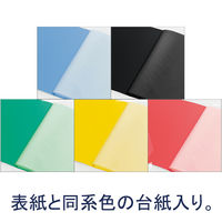 キングジム　クリアーファイルカラーベース（タテ入れ）　A4タテ　20ポケット5色ミックス　T-132Cコミ　1箱（10冊入）  オリジナル