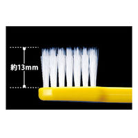 Ciメディカル　Ci800Slim超先細+ラウンド毛　M（ふつう）　19675　1箱（50本入）