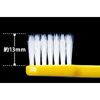 Ciメディカル　Ci800Slim超先細+ラウンド毛　MS（やや やわらかめ）　10891　1箱（50本入）