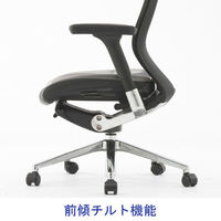 【車上渡し】Sidiz（シディズ）　T-50　エグゼクティブチェア　革張り　肘付　ブラック　RFC-T50EX　1脚　（直送品）