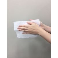 日本製紙クレシア クレシア ジャンボ消毒ウェットタオル本体 64110 1個(250枚入)