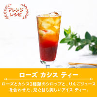 片岡物産 トワイニング リキッドティー ダージリン 1L 1箱（6本入）