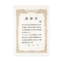 コクヨ 賞状用紙〈プリンタ対応〉 カーSJ205 1セット(100枚:10枚入×10)