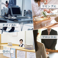 受付・デスクペン フロス（油性ボールペン＆スタンド） 0.7mm パールホワイト軸 白 1組 BA65-PW ゼブラ