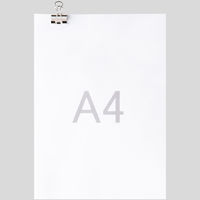 アスクル　ダブルクリップ　中　シルバー　1セット（200個：10個入×20パック）　幅25mm  オリジナル