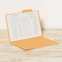 プラス　個別フォルダー　B5　イエロー　FL-067IF　87447　1袋（10枚入）