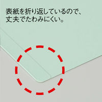 背と表紙を補強したフラットファイル厚とじ250 A4タテ 10冊 ブルー アスクル  オリジナル