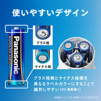 パナソニック エボルタNEO 単2・シュリンク LR14NJ/2SE 1パック（2本入）