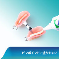 【入れ歯安定剤】 Haleonジャパン 新ポリグリップ 極細ノズル 70g