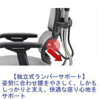 【組立設置込】エルゴヒューマン ベーシック ハイタイプ オフィスチェア 3Dファブリックメッシュ 肘付 グリーン 座クッション 1脚 242174