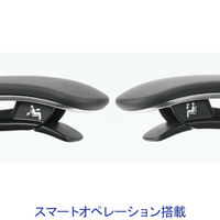 CC81BR FPG1 オカムラ コンテッサ セコンダ 座メッシュ ポリッシュ ブラックボディ ブラック 1脚（直送品）