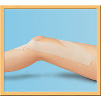 ニチバン バトルウィンキネシオロジーテープセラポアSRP50 SRP50 1箱(6巻)