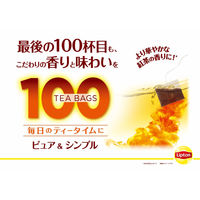リプトン ピュア＆シンプルティー 1セット（300バッグ：100バッグ入×3箱）