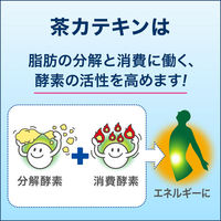 【トクホ・特保】花王　ヘルシアスパークリング　500ml　1箱（24本入）