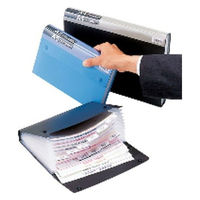 キングジム ドキュメントファイル エコノミータイプ A4 黒 2274クロ 1冊