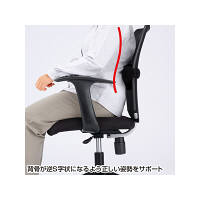 サンワサプライ　チェア用ランバーサポート　SNC-LUMBAR　（直送品）