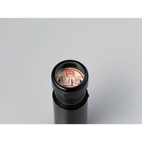 シャチハタ 日付印 データーネームEX15号 領収 印面+本体セット 1セット