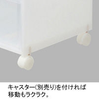 引き出し収納 システムケースL A3対応 3個 リス