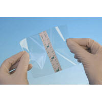 スリーエム 3M テガダーム フィルムロール 防水テープ 50mm×10m 16002 1巻