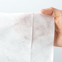 お店のおそうじ　鏡・ガラス用　1個（20枚入）　帝人フロンティア オリジナル