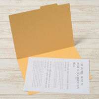 プラス　個別フォルダー　A3　イエロー　FL-069IF　87427　1箱（100枚：10枚入×10袋）