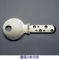 エーコー ダブルシリンダー耐火金庫（30分耐火） 幅416×奥行347×高さ364mm ガーゴイルグレー BES-9K2 1台 小型 21.6L ディンプルキー