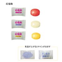 佐久間製菓 応塩飴・クエン酸飴MIXキャンディ 1袋（1kg：約265粒入）