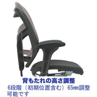 エルゴヒューマン エンジョイ ToBe オフィスチェア 座面メッシュ 肘付 グリーン EHT KMD34 GN 1脚（2梱包）