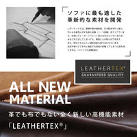 【車上渡し】RELAX FORM バフェットソファー　レザーテックス　 2P　カカオ　　１脚（直送品）