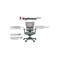 エルゴヒューマン スマート オフィスチェア 3Dファブリックメッシュ 肘付 グリーン/KMD34 EHS KMD34 GN 1脚（2梱包）