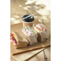 エフピコチューパ CP角底サンドイッチ袋 無地 中 ブロック穴テープ付 CP772996 1袋（200枚入）