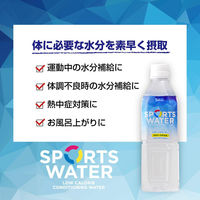 富永貿易 フェリーチェ スポーツウォーター 500ml 1箱（24本入）