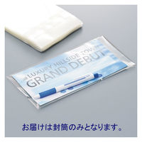 カクケイ　クリアー封筒フタ付　長3　N3-100　100枚