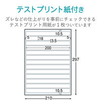 エレコム　背ラベル(ファイル用)　13面　EDT-TF13　1袋（10シート入）（直送品）