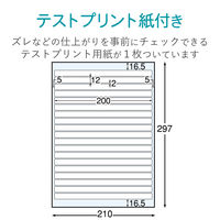 エレコム　背ラベル(ファイル用)　19面　EDT-TF19　1袋（10シート入）（直送品）