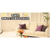 パナソニック　コンパクト形蛍光ランプ/FDL　13W形　電球色　FDL13EXL