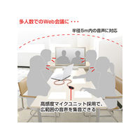 サンワサプライ WEB会議高感度USBマイク MM-MCUSB22 1個
