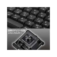 サンワサプライ メカニカルキーボード 有線（USB接続） ブラック SKB-MK2BK 1個（直送品）