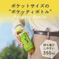 伊藤園 おーいお茶 緑茶 350ml 1セット（48本） お茶 ペットボトル【接客】