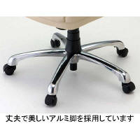 イトーキ　カテドラ　オフィスチェア　革張り　肘付　ベージュ　YJ3H-BE-EL　1脚　（直送品）