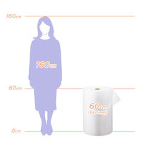 川上産業 「現場のチカラ」 プチプチ ライトプチ（R） 幅600mm×42m巻　半透明　1セット（10巻：2巻入×5）  オリジナル