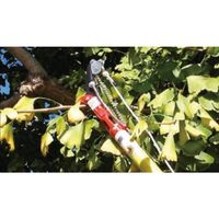 エスコ φ25mm 枝切 EA650BX-6 1個(1袋)（直送品）