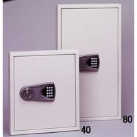 エスコ 420x450x70mm キーボックス(テンキー式/40本用) EA956VG-40 1個（直送品）