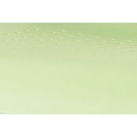 アイリスチトセ　ミーティングチェア樹脂タイプ ホワイト/グリーン　4脚セット　（直送品）