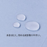 フラットファイル　PPラミネート　A4タテ　10冊　ロイヤルブルー　アスクル  オリジナル