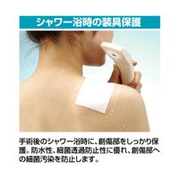 ニチバン カテリープ FSロール 200mm×10m No.2010　1箱（1巻入）