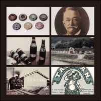 アサヒ飲料　WILKINSON（ウィルキンソン）　ジンジャエール（辛口）　500ml　1セット（48本：24本入×2箱）