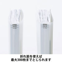 アスクル フラットファイル PP製 A4タテ 厚とじ 背幅28mm FF-P2S クリア（半透明） 5冊 オリジナル